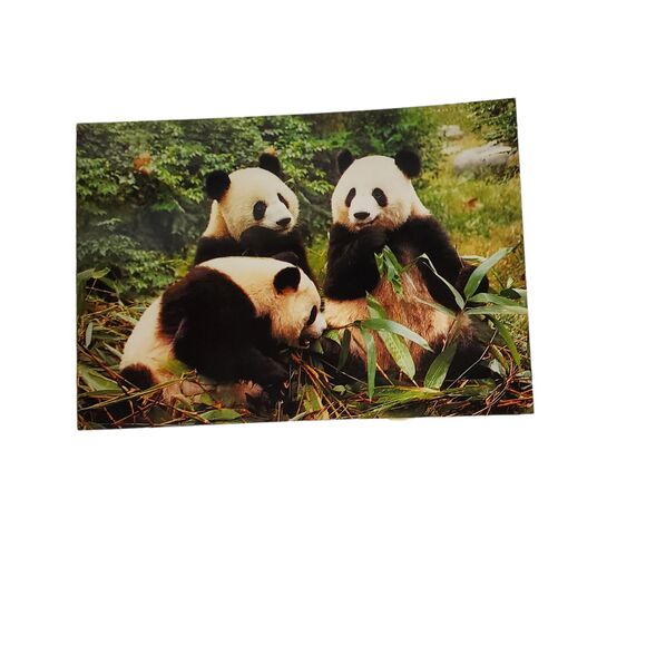 Giant Panda Postcard Book 2006 China 20 Cards Souvenir FLAWED For Crafts - Picture 5 of 11